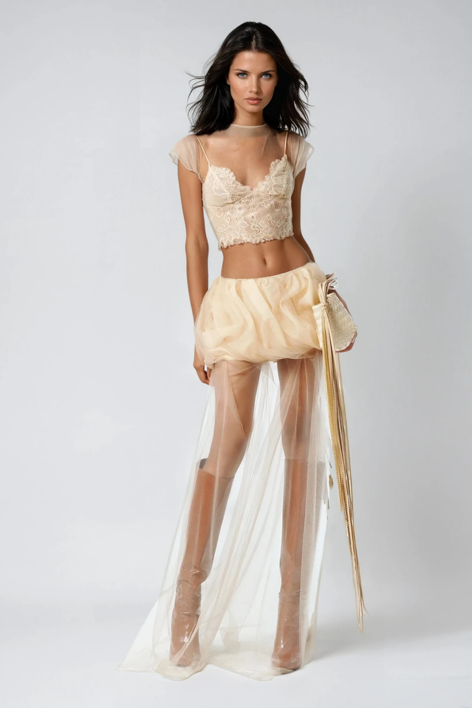 Stylish beautiful dress | Ciro Lace Mesh Skirt Set - Ideal for special occasions