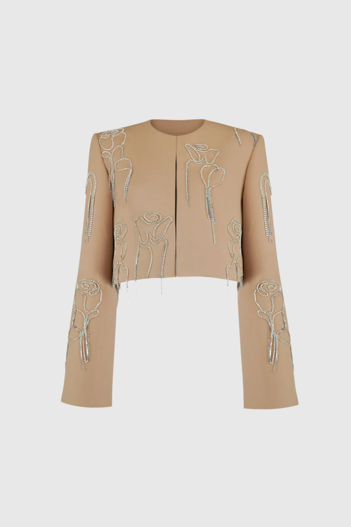 Shop  beautiful dress - Perfect for special occasions | Clarisa Rhinestone Chain Pants Set