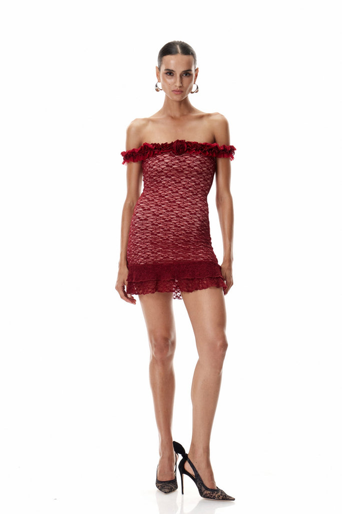 Stylish beautiful dress | Cletus Flower Lace Mini Dress - Ideal for special occasions