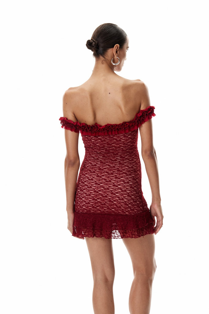 Stylish beautiful dress | Cletus Flower Lace Mini Dress - Ideal for special occasions