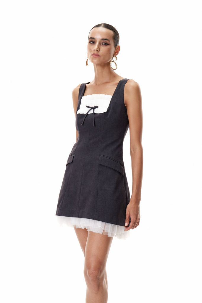 Shop  beautiful dress - Perfect for special occasions | Cliff Sleeveless Mesh Mini Dress