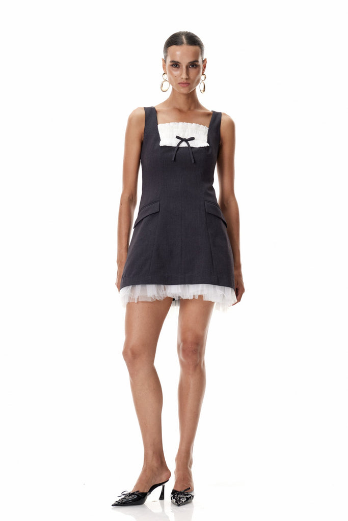 Stylish beautiful dress | Cliff Sleeveless Mesh Mini Dress - Ideal for special occasions