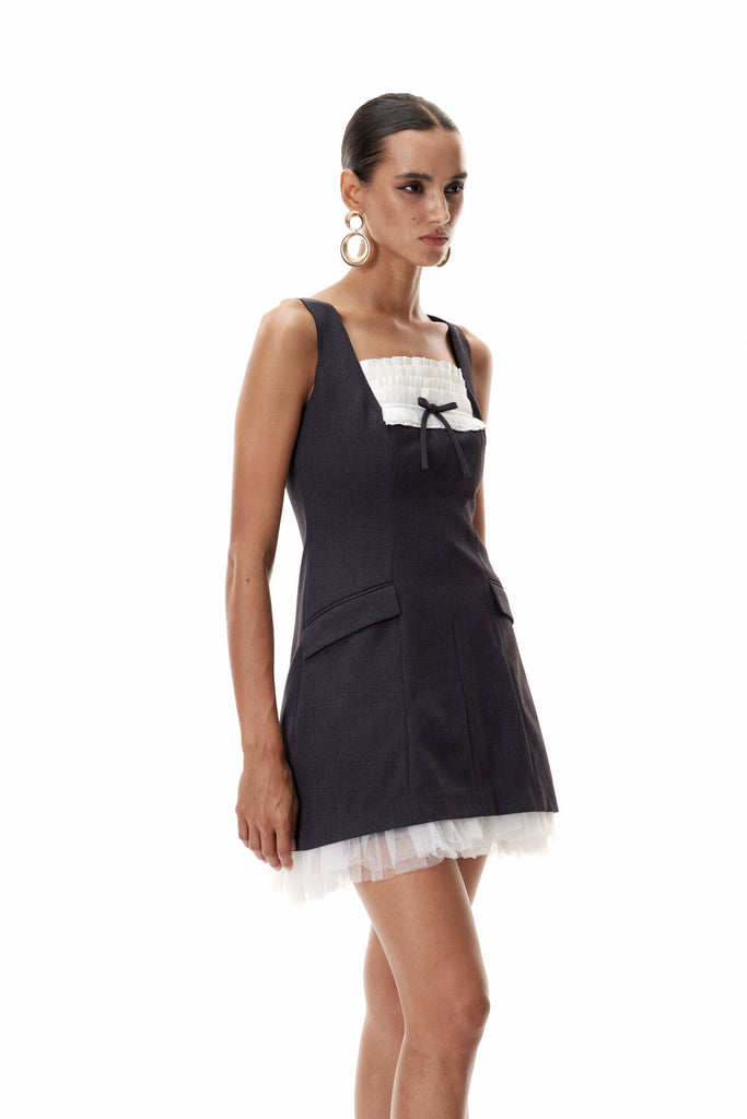 Shop  beautiful dress - Perfect for special occasions | Cliff Sleeveless Mesh Mini Dress