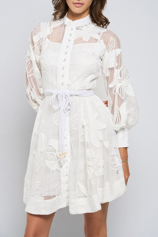 Tessie Mesh Applique Buttoned Mini Dress