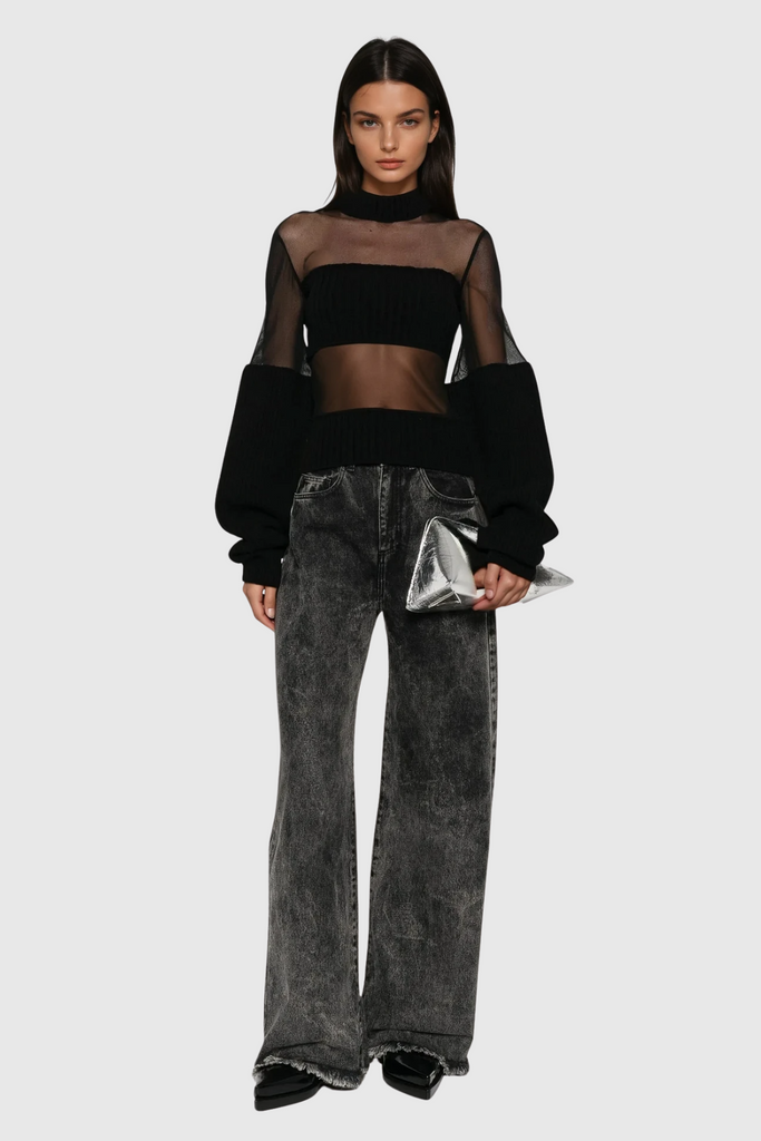 Dalal Long Sleeve Mesh Top - Stylish beautiful dress for special occasions | Buy Online