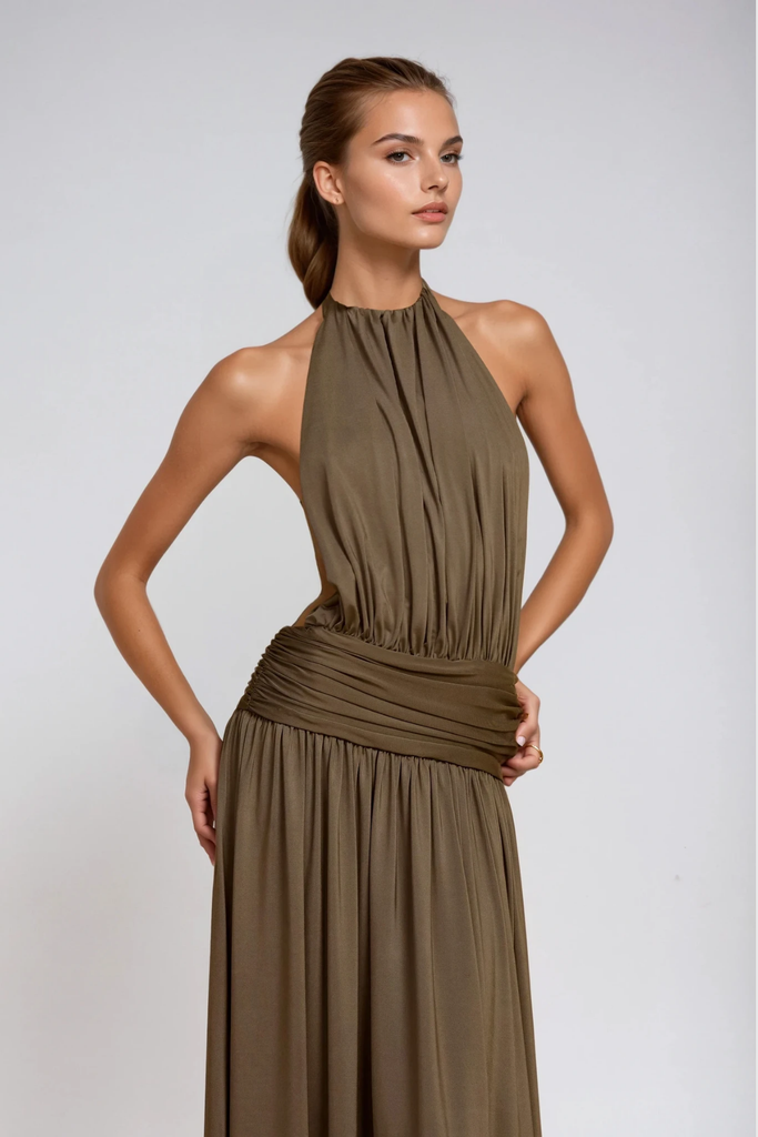 Shop  beautiful dress - Perfect for special occasions | Darin Halter Neck Ruch Maxi Dress