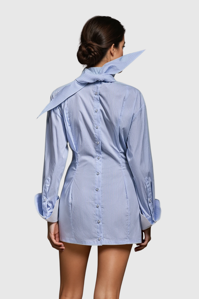 Shop  beautiful dress - Perfect for special occasions | Darja Long Sleeve Stripe Mini Dress