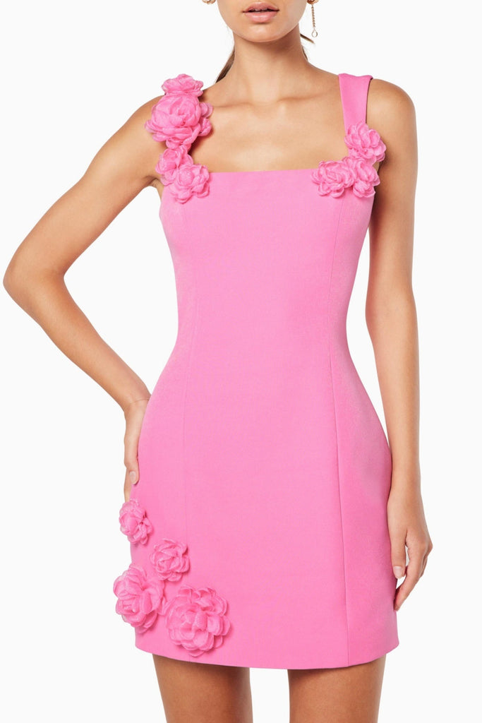 Dilanne Floral  Appliqué Mini Dress - Pink - Stylish pink dress for special occasions | Buy Online