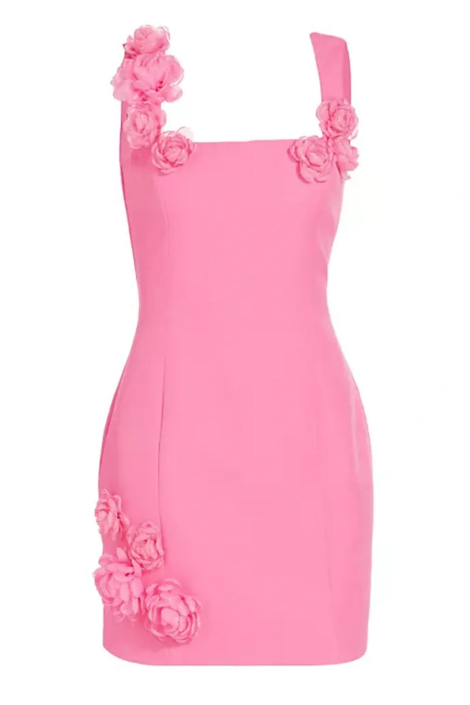 Shop  pink dress - Perfect for special occasions | Dilanne Floral  Appliqué Mini Dress - Pink