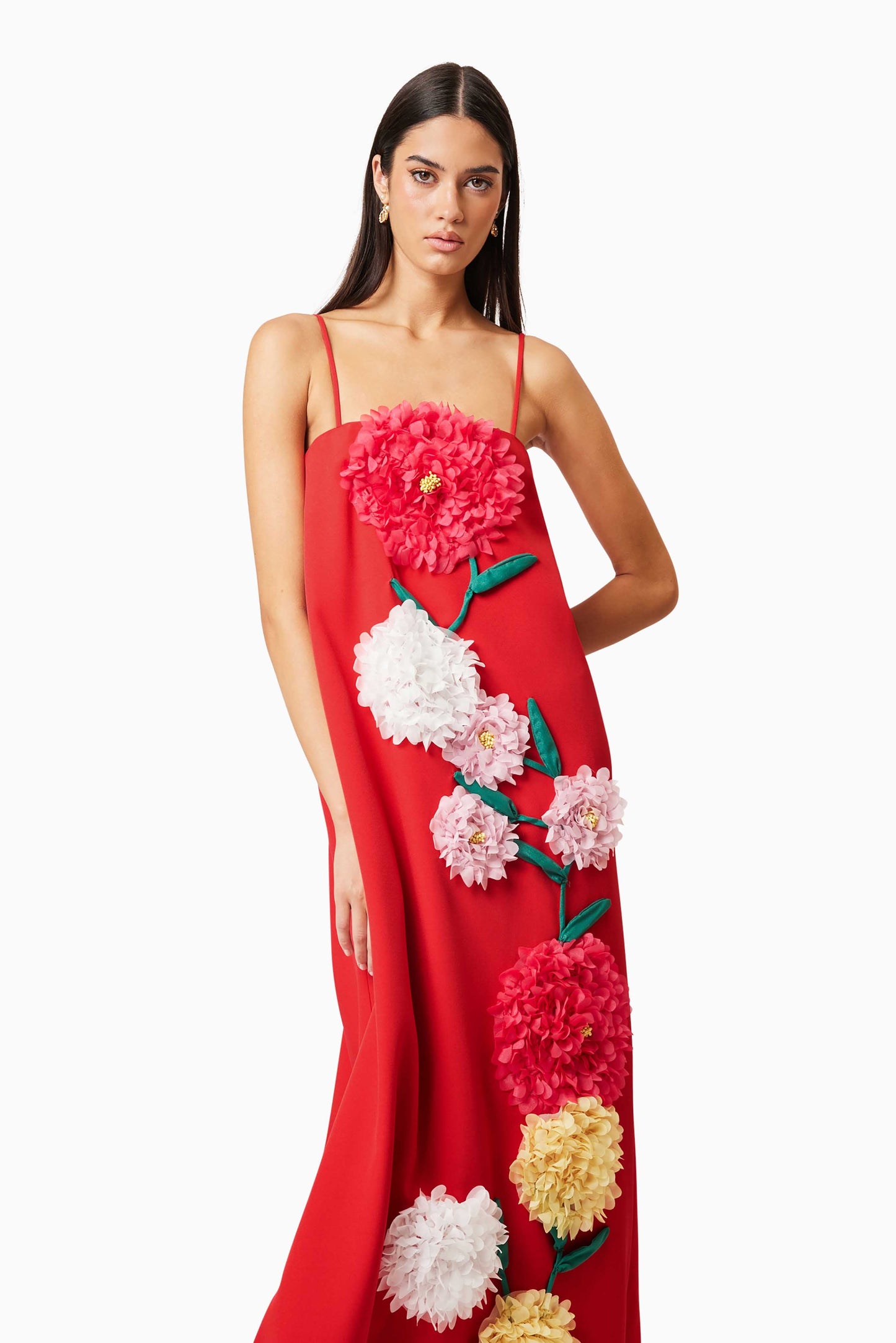 aaliyah Buttercup Embroidered Maxi Dress In Red