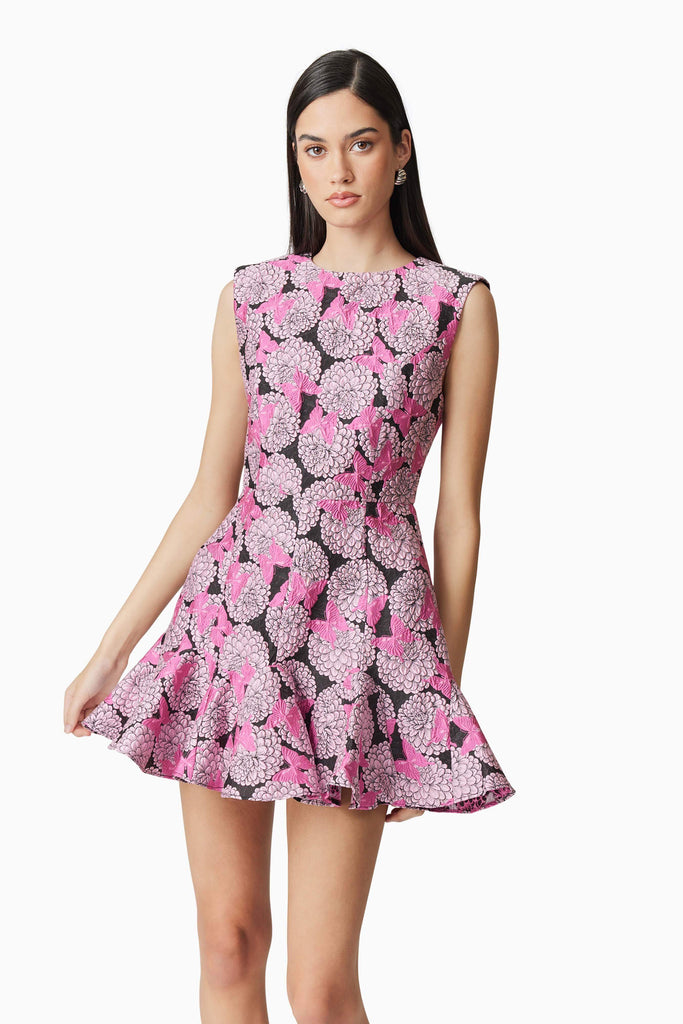 Shop  pink dress - Perfect for special occasions | Aimee Butterfly embroidery A-Line Mini Dress in Pink