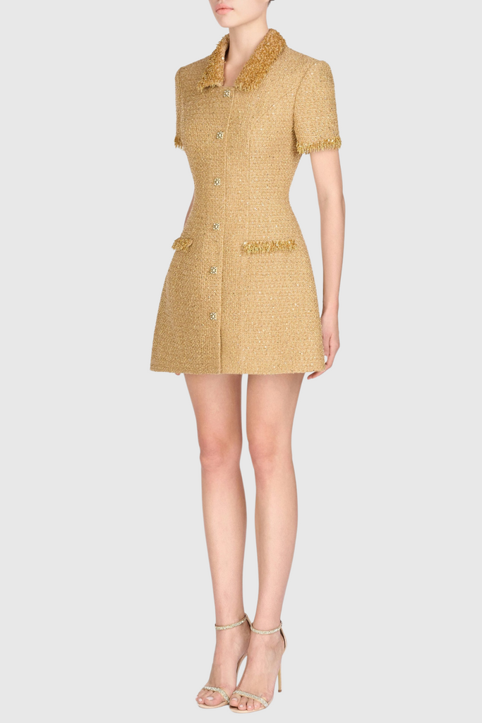 Stylish beautiful dress | Elborno Gold Embellished Mini Dress - Ideal for special occasions