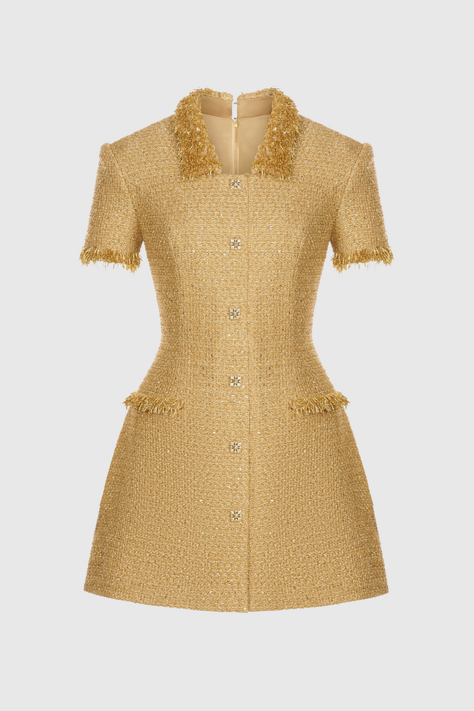 Shop  beautiful dress - Perfect for special occasions | Elborno Gold Embellished Mini Dress