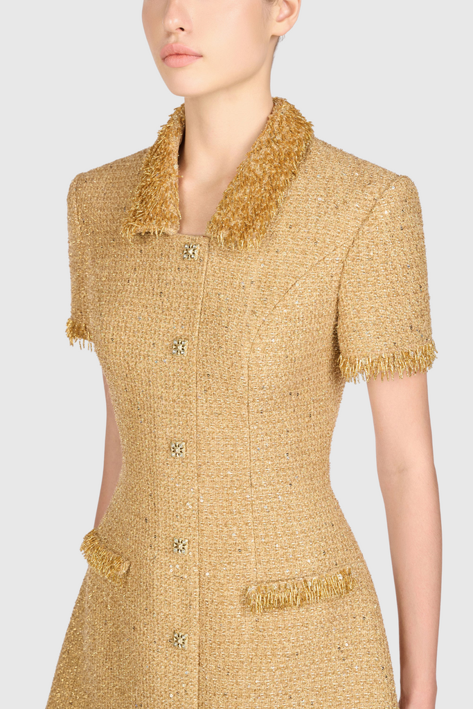 Stylish beautiful dress | Elborno Gold Embellished Mini Dress - Ideal for special occasions