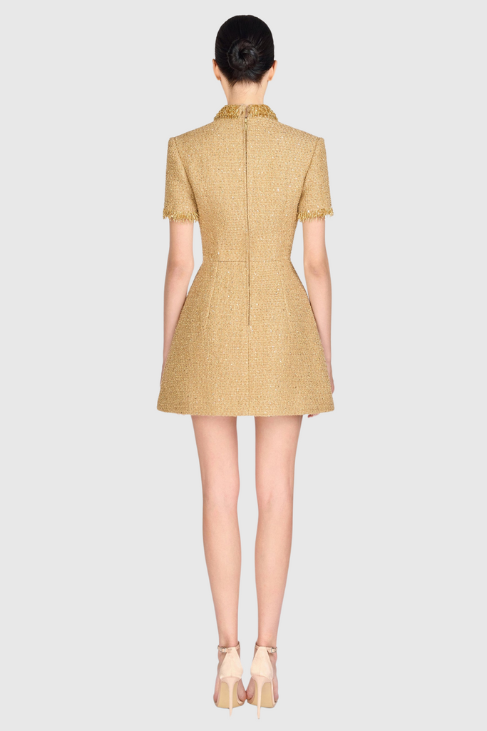 Stylish beautiful dress | Elborno Gold Embellished Mini Dress - Ideal for special occasions