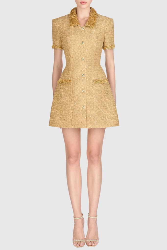 Elborno Gold Embellished Mini Dress - Stylish beautiful dress for special occasions | Buy Online
