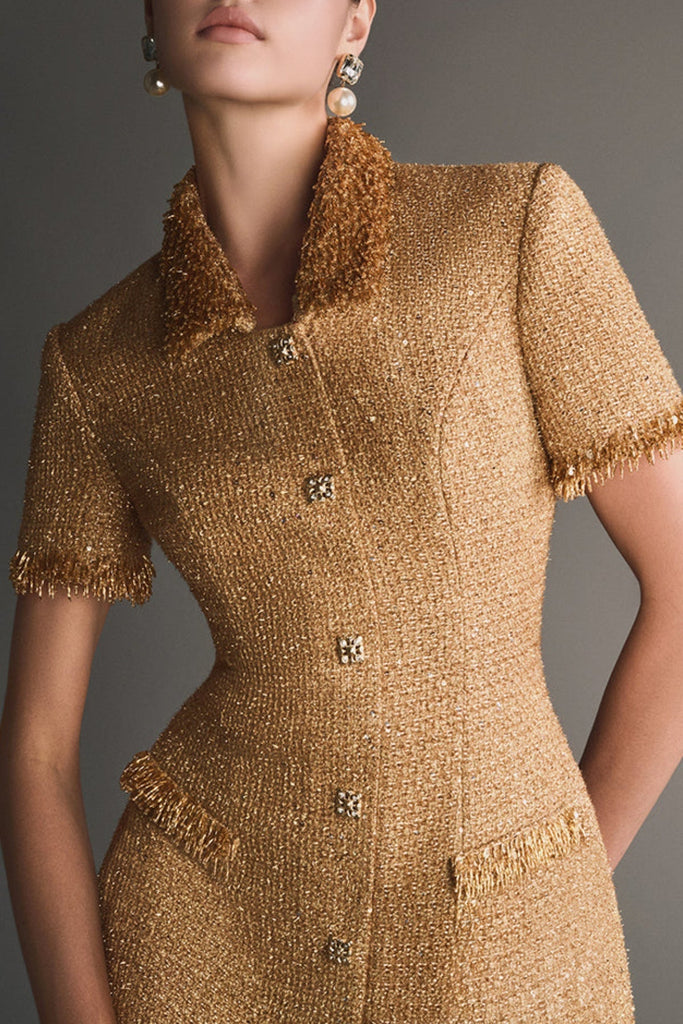 Elborno Gold Embellished Mini Dress - Stylish beautiful dress for special occasions | Buy Online
