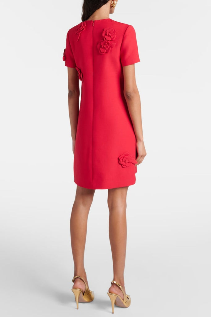 Shop  beautiful dress - Perfect for special occasions | Eleanor Floral Appliqué Mini Dress