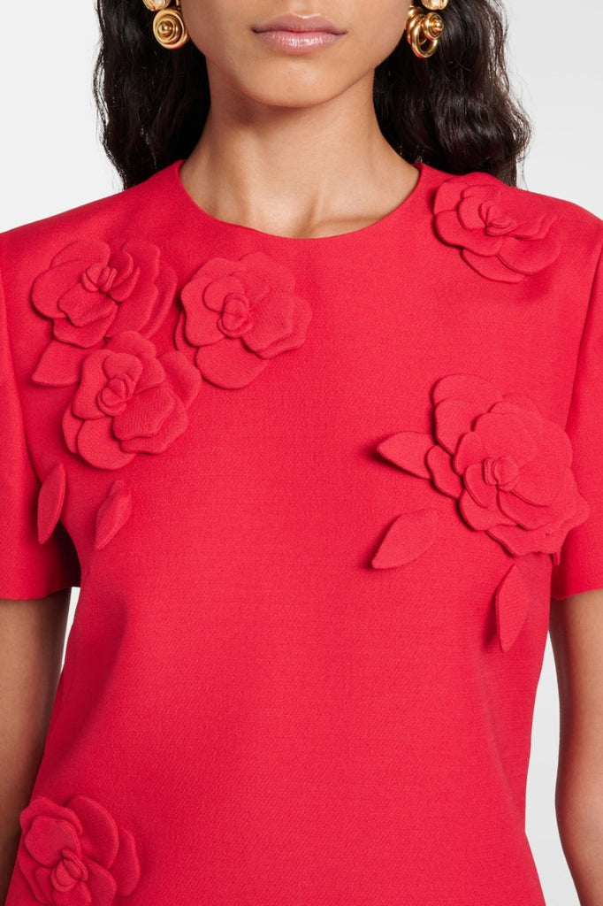 Stylish beautiful dress | Eleanor Floral Appliqué Mini Dress - Ideal for special occasions