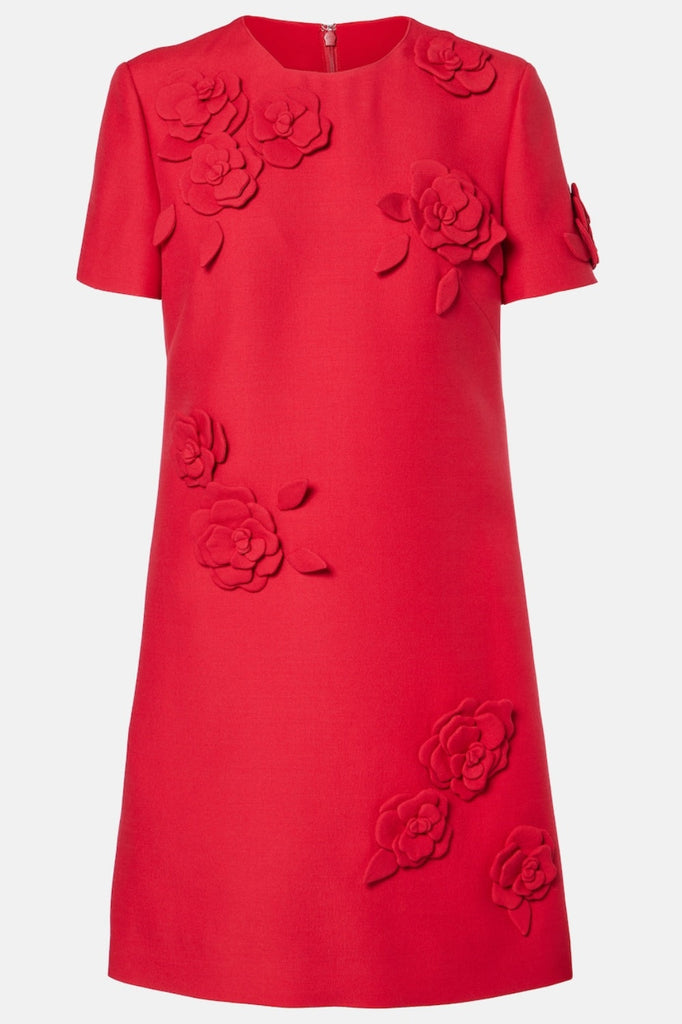 Stylish beautiful dress | Eleanor Floral Appliqué Mini Dress - Ideal for special occasions