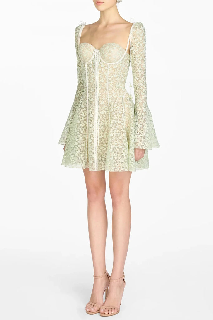 Stylish beautiful dress | Emani Floral Lace Corset Mini Dress - Mint - Ideal for special occasions