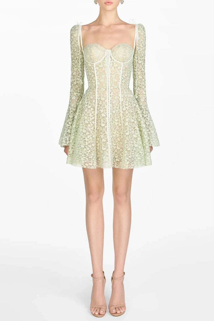 Emani Floral Lace Corset Mini Dress - Mint - Stylish beautiful dress for special occasions | Buy Online