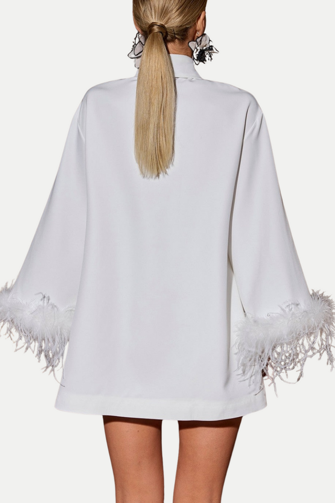 Stylish beautiful dress | Finia Feather-trimmed Mini Shirt Dress With Tie - Ideal for special occasions