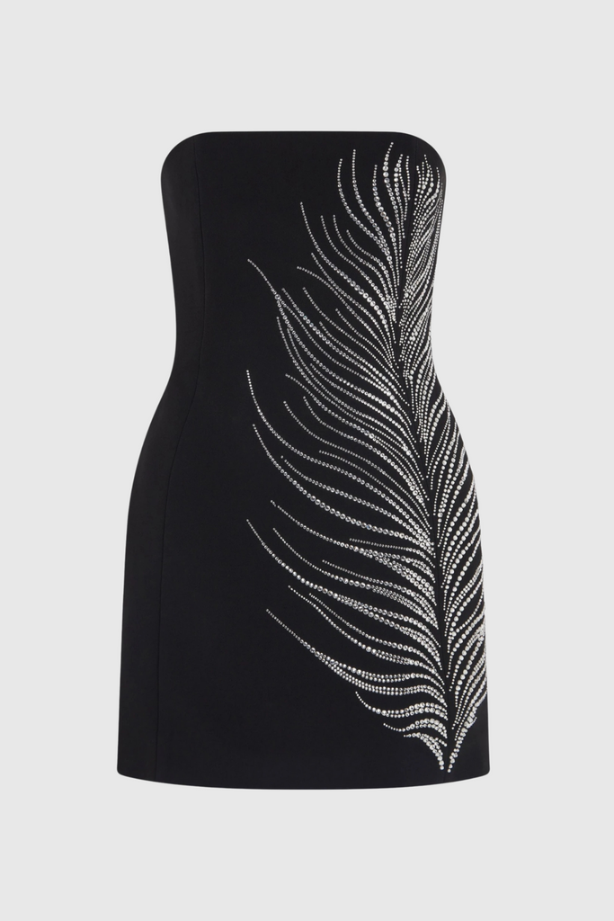 Hlisa Strapless Feather Embellished Mini Dress - Stylish beautiful dress for special occasions | Buy Online