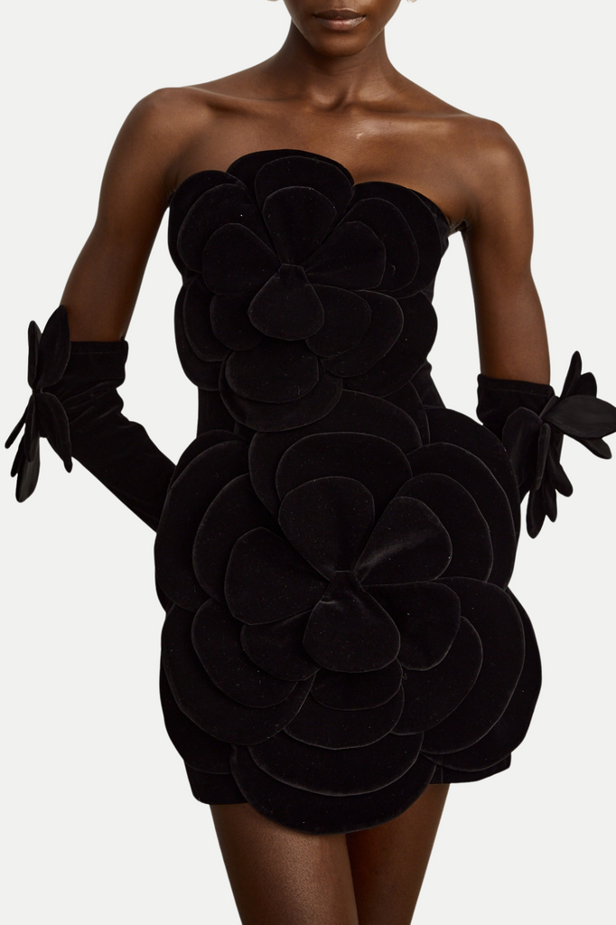 Kerio Floral Appliqué Velvet Mini Dress - Black - Stylish black dress for special occasions | Buy Online