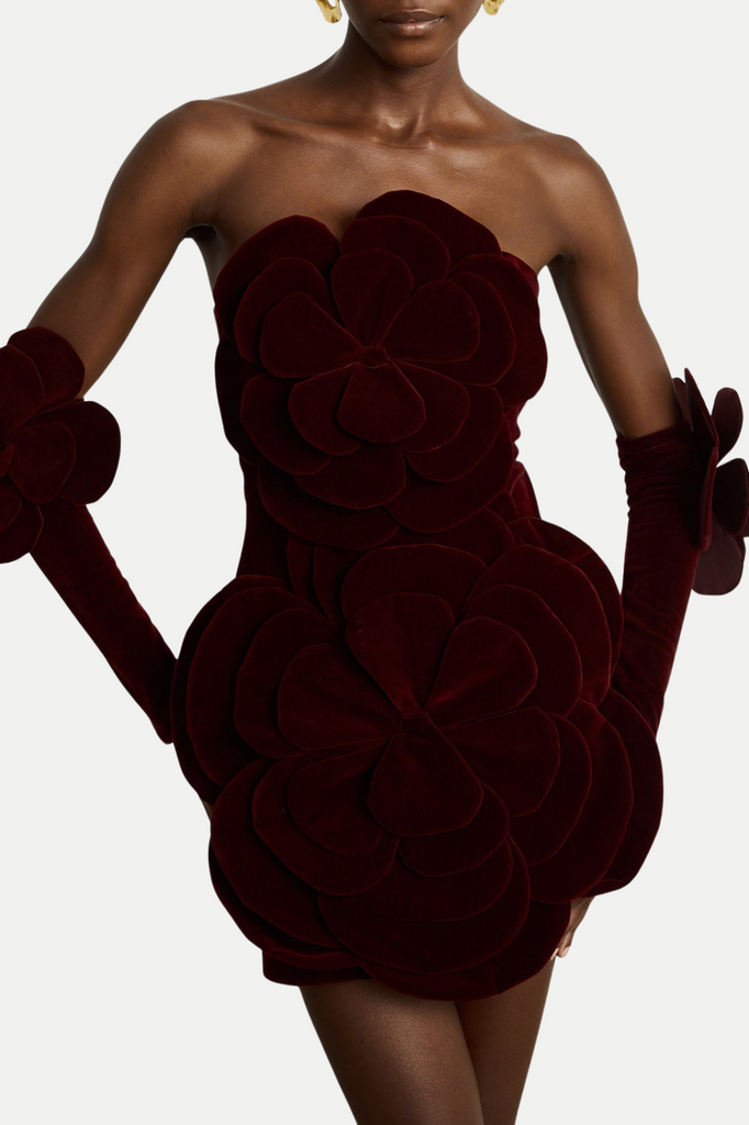 Shop  red dress - Perfect for special occasions | Kerio Floral Appliqué Velvet Mini Dress - Red