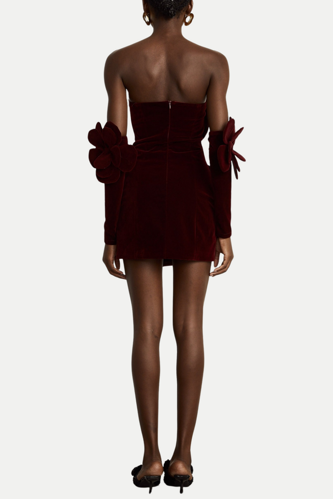 Stylish red dress | Kerio Floral Appliqué Velvet Mini Dress - Red - Ideal for special occasions