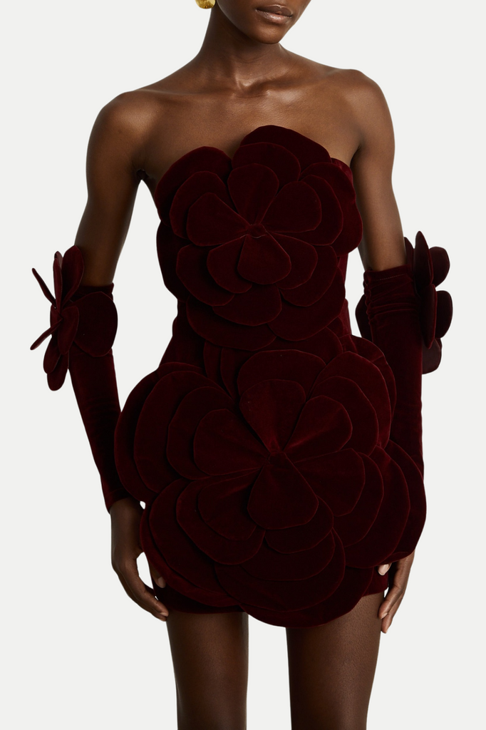 Kerio Floral Appliqué Velvet Mini Dress - Red - Stylish red dress for special occasions | Buy Online