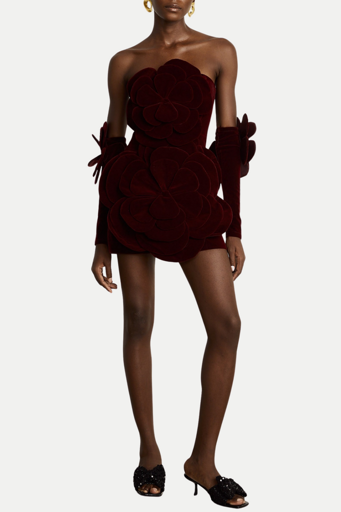 Shop  red dress - Perfect for special occasions | Kerio Floral Appliqué Velvet Mini Dress - Red