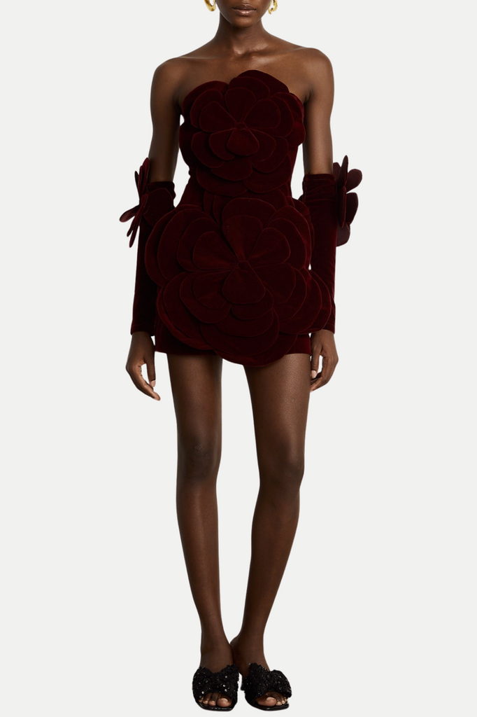 Stylish red dress | Kerio Floral Appliqué Velvet Mini Dress - Red - Ideal for special occasions
