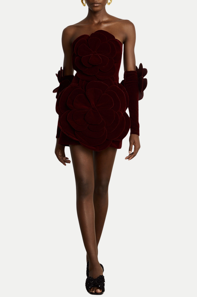 Shop  red dress - Perfect for special occasions | Kerio Floral Appliqué Velvet Mini Dress - Red