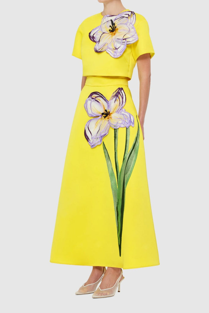 Shop  yellow dress - Perfect for special occasions | Indie Appliqué Sleeve Iris Print set in Yellow