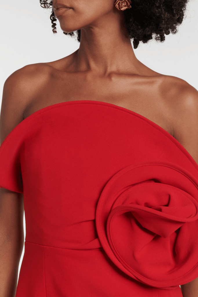 Shop  beautiful dress - Perfect for special occasions | Luciana Floral Appliqué Strapless Mini Dress