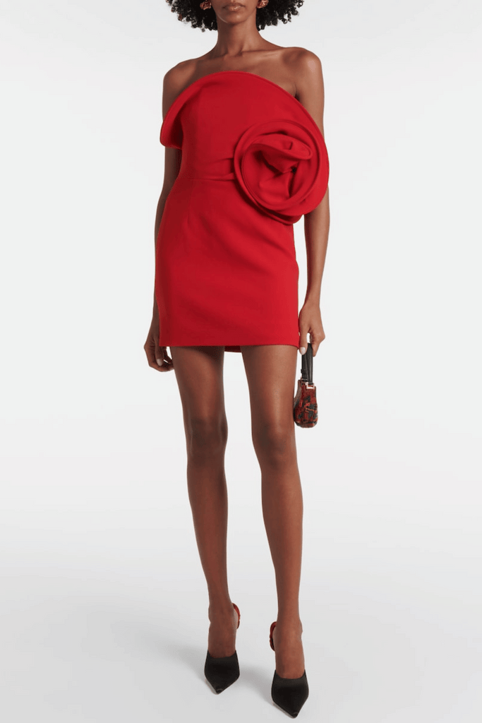 Luciana Floral Appliqué Strapless Mini Dress - Stylish beautiful dress for special occasions | Buy Online