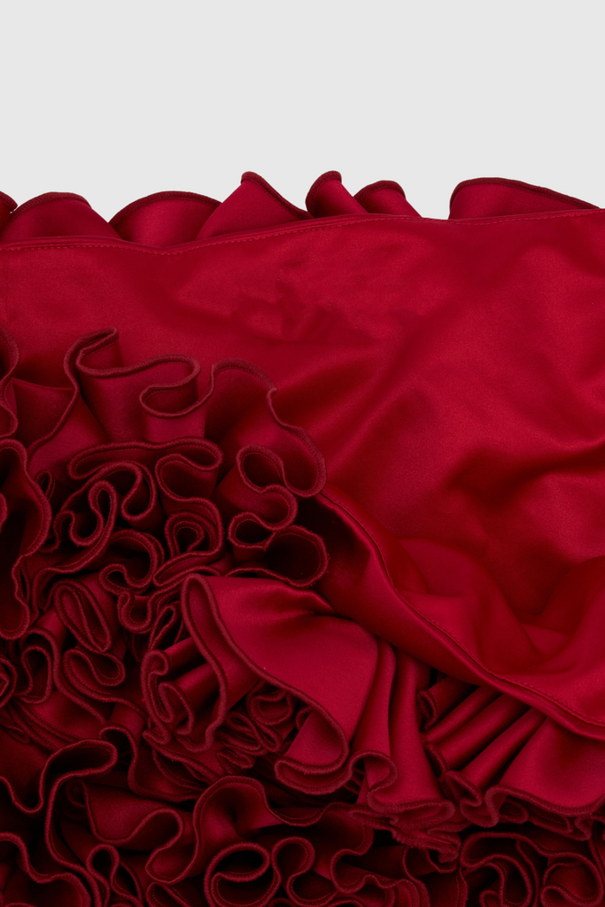 Shop  red dress - Perfect for special occasions | Nuala Floral Applique Skirt - Red