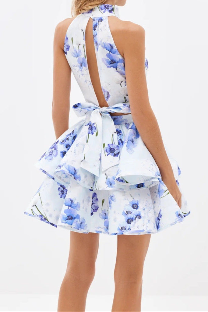 jessica printed backless halter top skirt set in blue - Stylish blue dress for special occasions | Buy Online