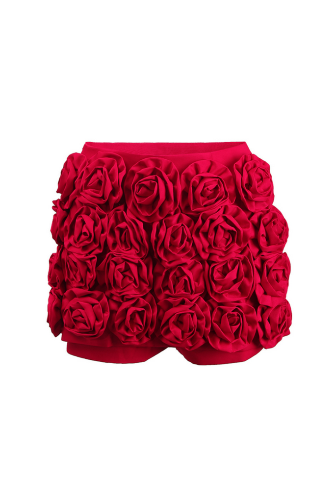 Oriole Floral Appliqué Shorts - Stylish beautiful dress for special occasions | Buy Online