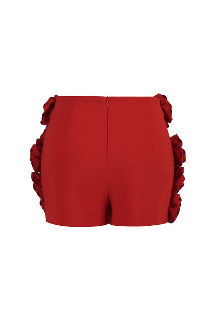 Oriole Floral Appliqué Shorts - Stylish beautiful dress for special occasions | Buy Online
