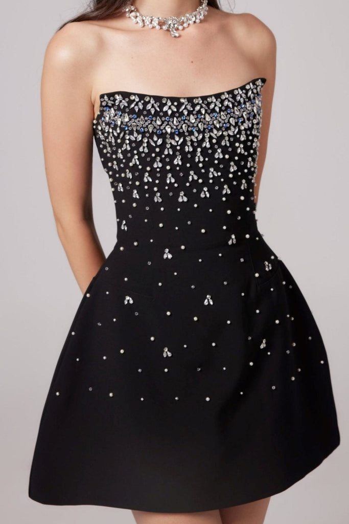 Shop  beautiful dress - Perfect for special occasions | Sylvia Crystal Strapless Mini Dress