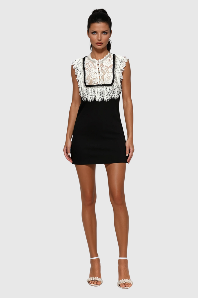 Zarah Lace Sleeveless Mini Dress - Stylish beautiful dress for special occasions | Buy Online