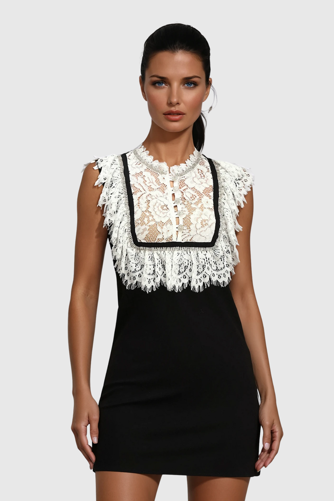 Shop  beautiful dress - Perfect for special occasions | Zarah Lace Sleeveless Mini Dress