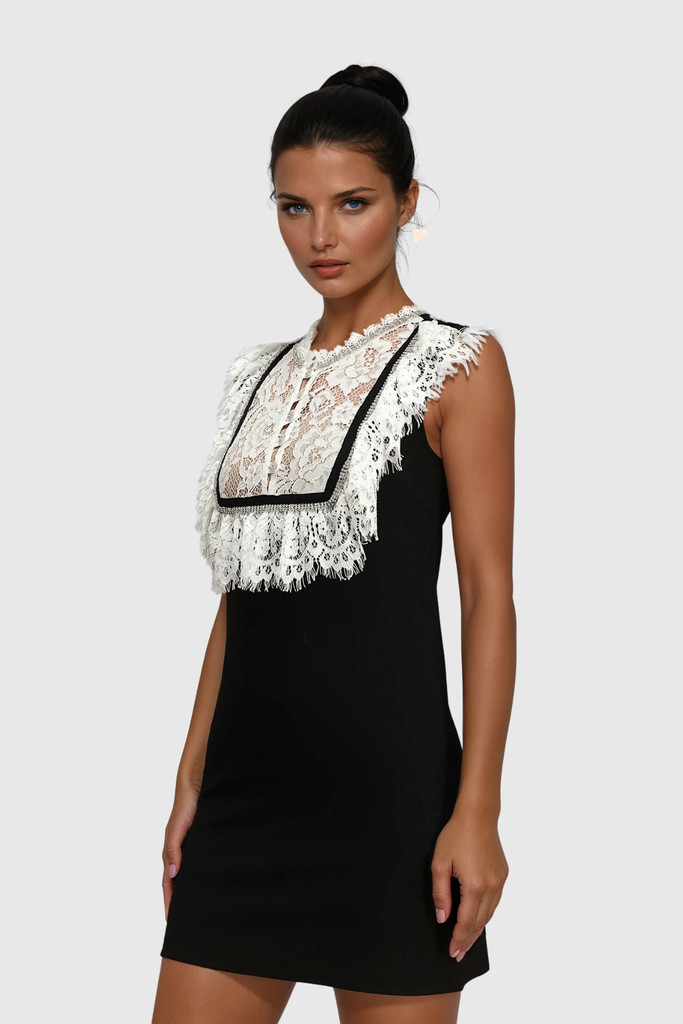 Stylish beautiful dress | Zarah Lace Sleeveless Mini Dress - Ideal for special occasions
