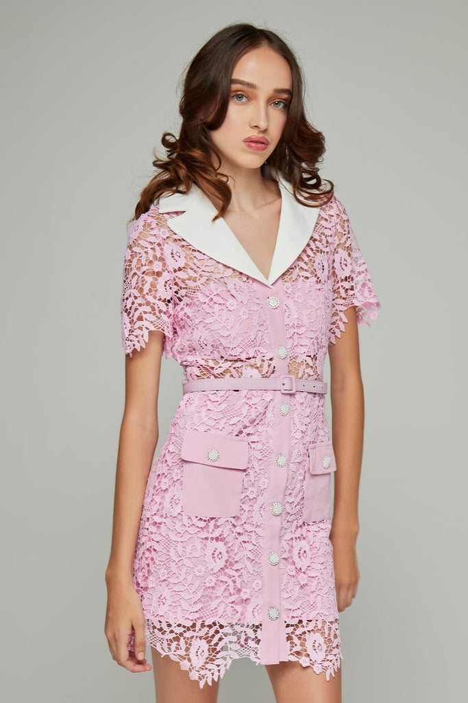 Stylish beautiful dress | Amaia Lapel Lace Mini Dress - Ideal for special occasions