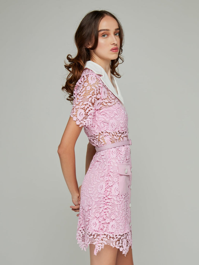 Stylish beautiful dress | Amaia Lapel Lace Mini Dress - Ideal for special occasions