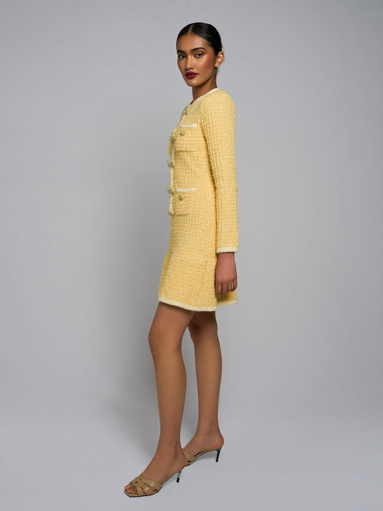 Shop  beautiful dress - Perfect for special occasions | Amarana Long-Sleeve Mini Dress