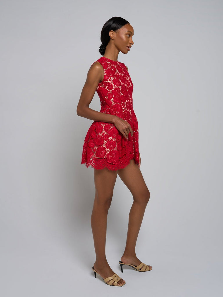 Demetria Sleeveless Lace Mini Dress - Stylish beautiful dress for special occasions | Buy Online